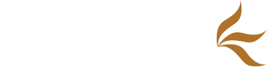 VAAS ASPIRE Logo